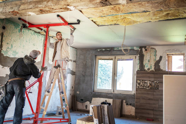 Best Insulation Maintenance and Repair in Missouri City, TX